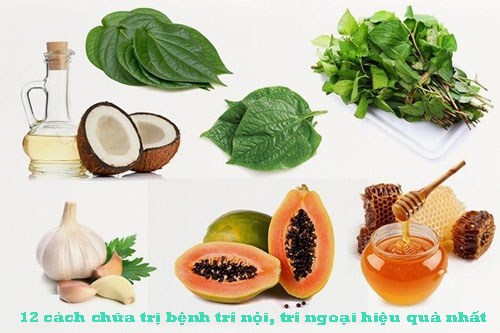 12 Cách chữa bệnh trĩ ngoại, điều trị bệnh trĩ nội hiệu quả