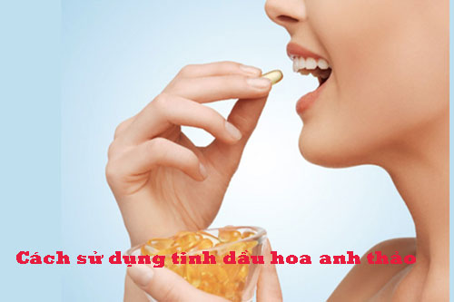 Cách sử dụng tinh dầu hoa anh thảo Cách sử dụng tinh dầu hoa anh thảo