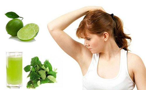 Cách trị hôi nách triệt để cùng rau diếp cá