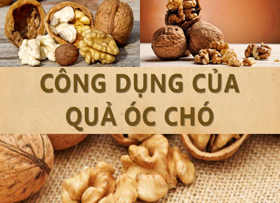 Hạt óc chó có tác dụng gì? Mua ở đâu? Giá bao nhiêu tiền?
