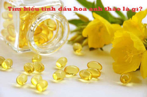 Tinh dầu hoa anh thảo có tác dụng gì? lời giải đáp từ chuyên gia