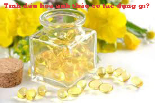 Tinh dầu hoa anh thảo có tác dụng gì? Tinh dầu hoa anh thảo có tác dụng gì?