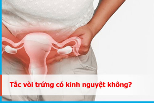 Bị tắc vòi trứng có kinh nguyệt không?