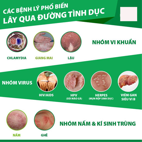 Các bệnh lây qua đường tình dục phổ biến nhất Các bệnh lây qua đường tình dục phổ biến nhất