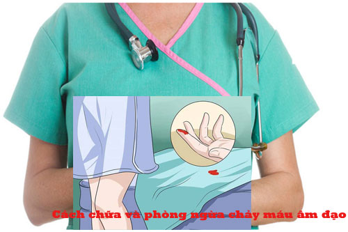 Cách chữa và phòng ngừa chảy máu âm đạo Cách chữa và phòng ngừa chảy máu âm đạo