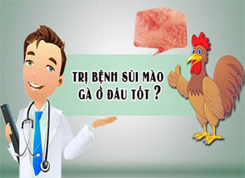 địa chỉ chữa sùi mào gà